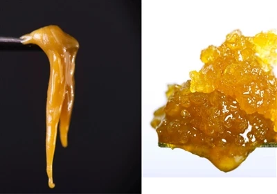 V živo smola proti Live Rosin: Kakšna je razlika?